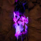 Skulls and Glow