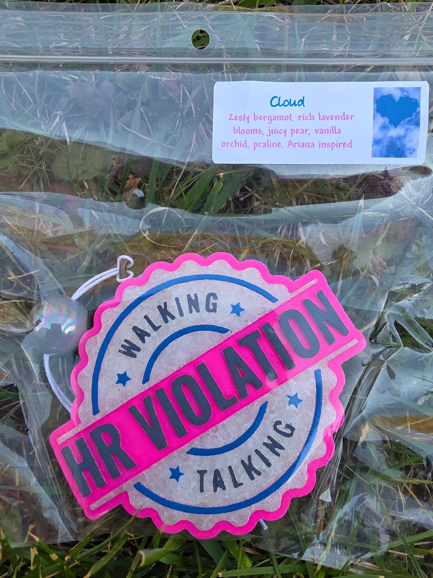 Walking Talking HR Violation