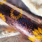 Tooled sunflower