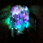 Adventure Northern Lights