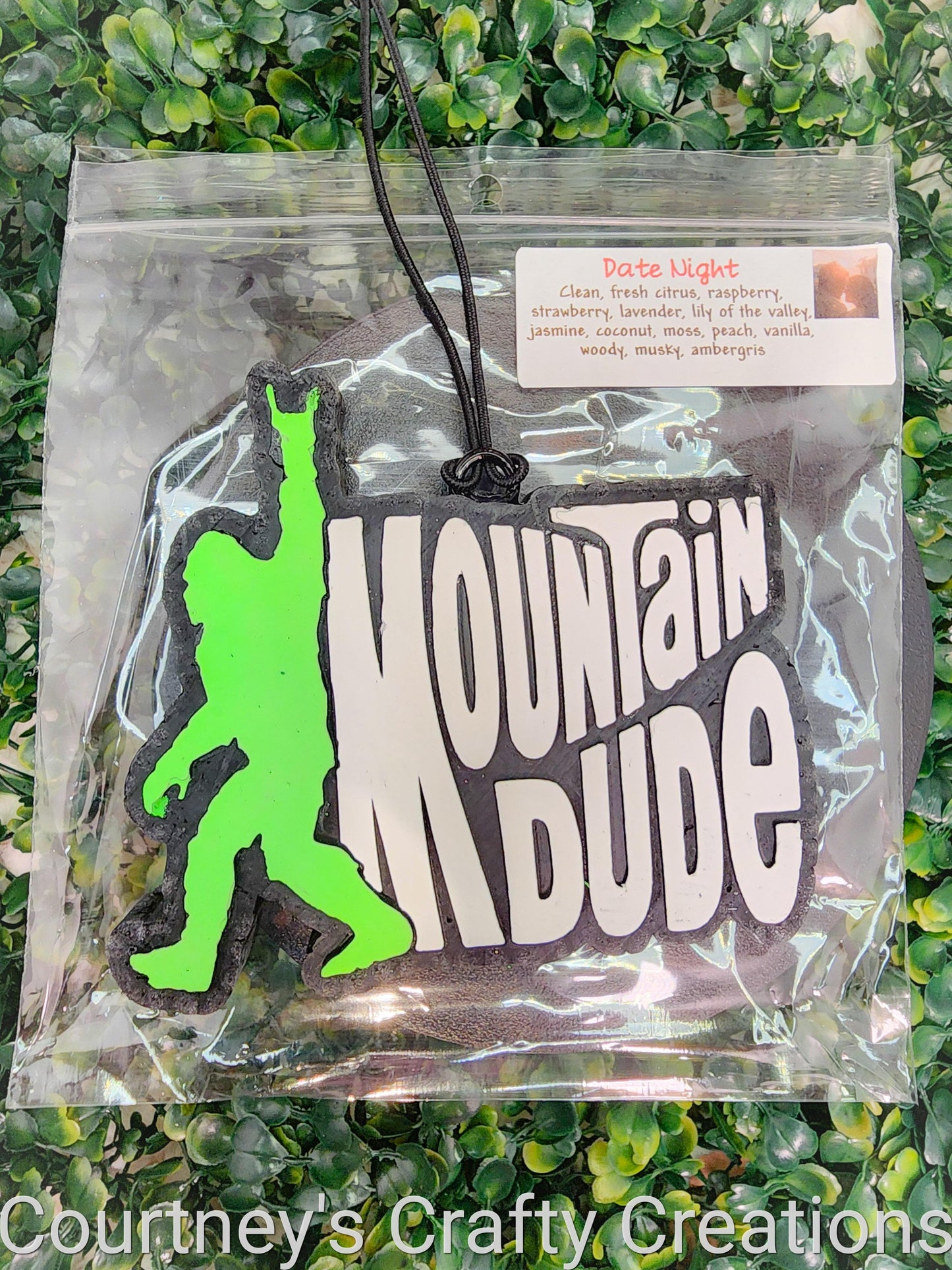 Mountain Dude